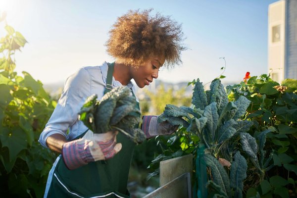 Comment réussir la construction de vos potagers urbains à Genève ?