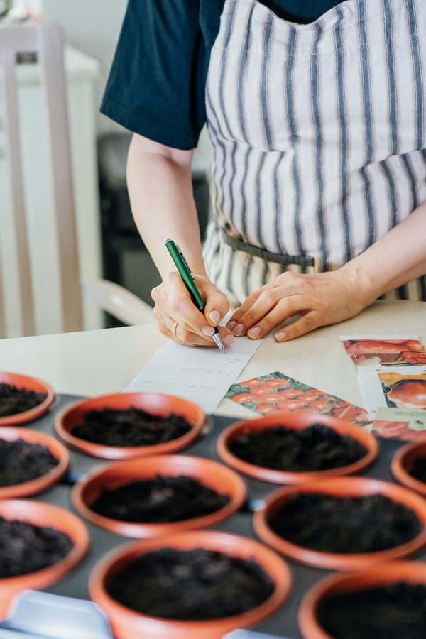 Quels sont les avantages d'acheter des graines de tomates reproductibles ?